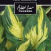 Etikett, Hosta