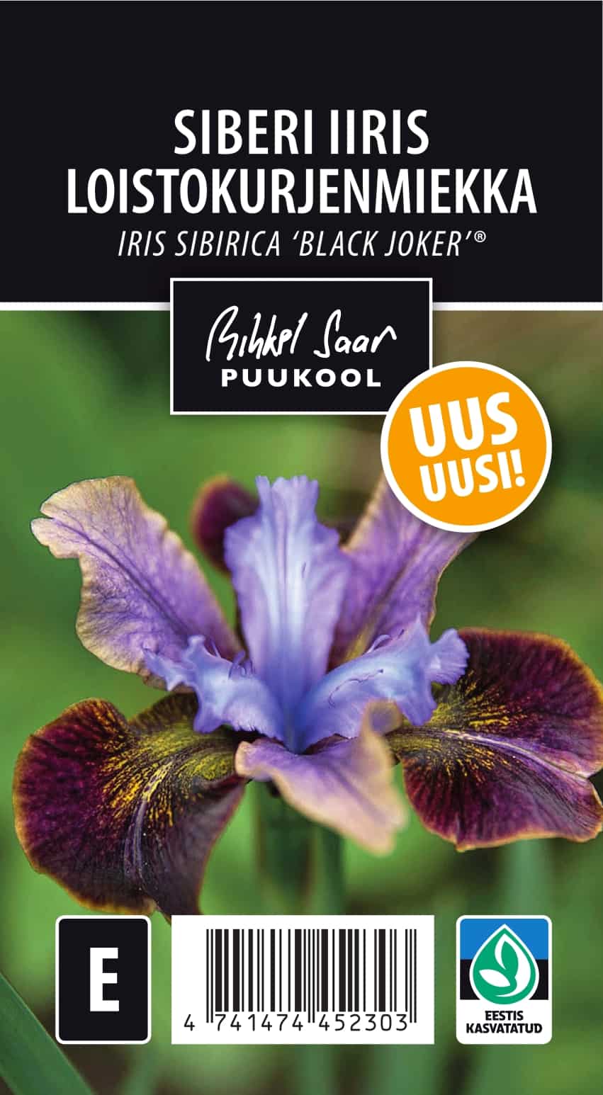 Etikett, Iris sibirica