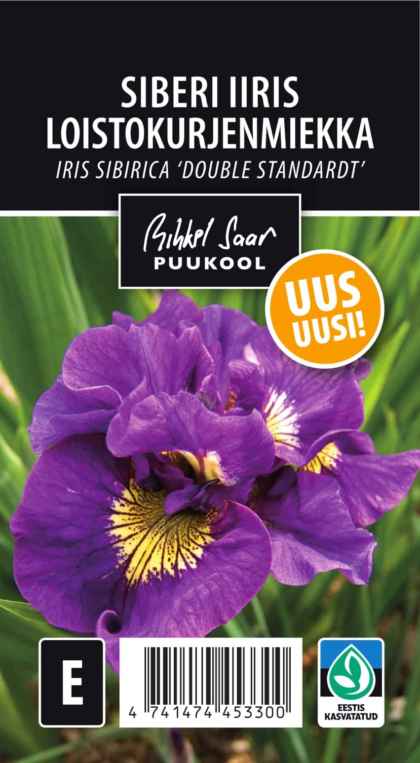 Etikett, Iris sibirica